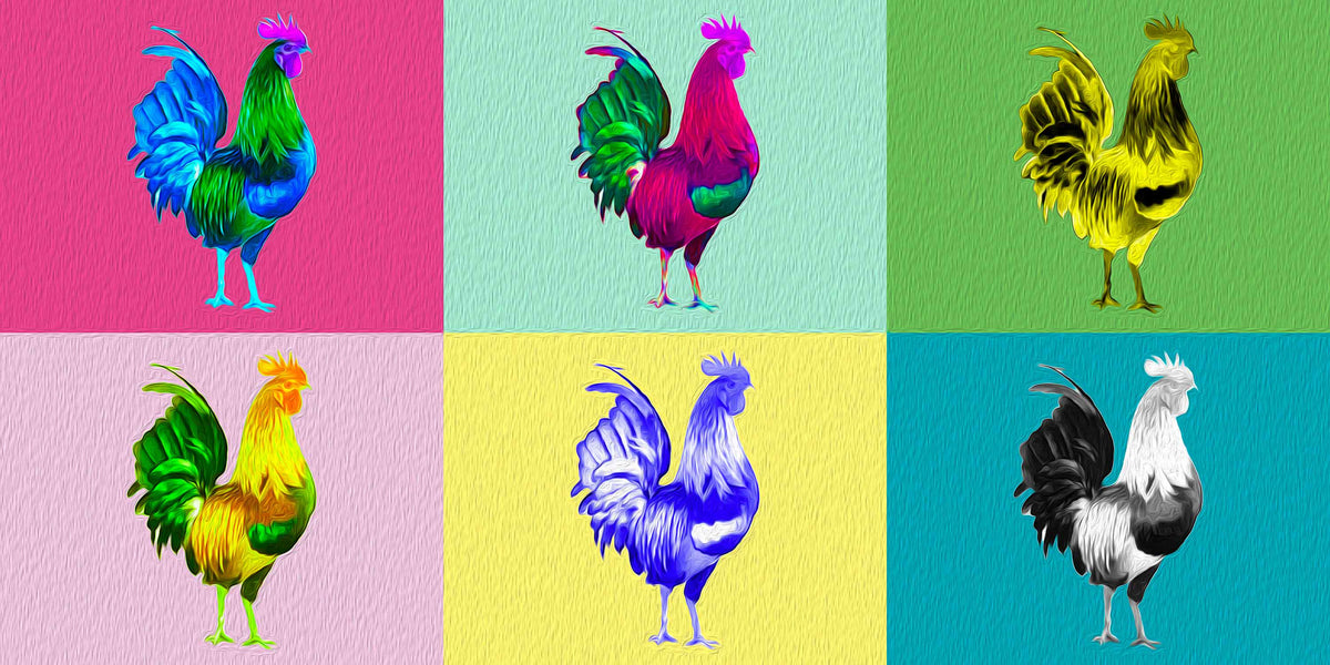 Rooster VI (limited to 10)