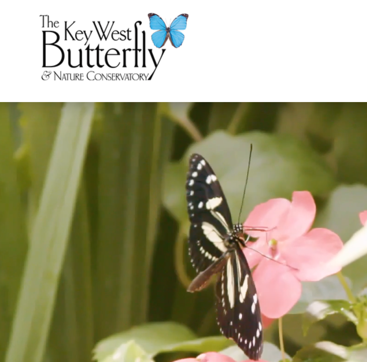 Episode 24 - The Key West Butterfly & Nature Conservatory with George Fernandez