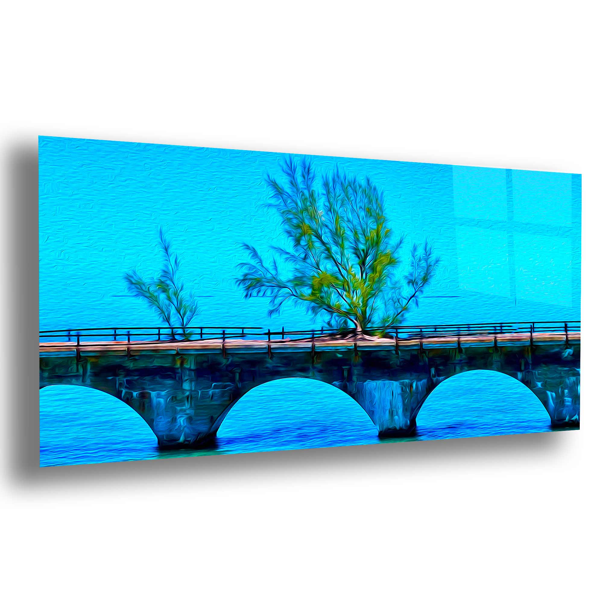 Fred the Tree Florida Keys Canvas Print | Seven Mile Bridge Art