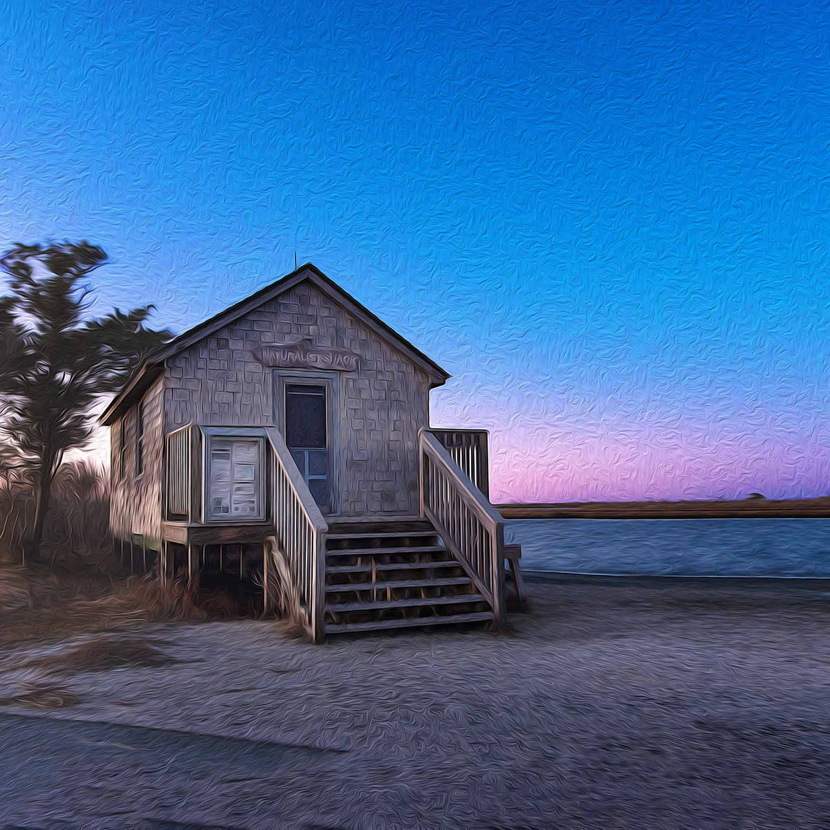 Naturalist Shack (Assateague Island)