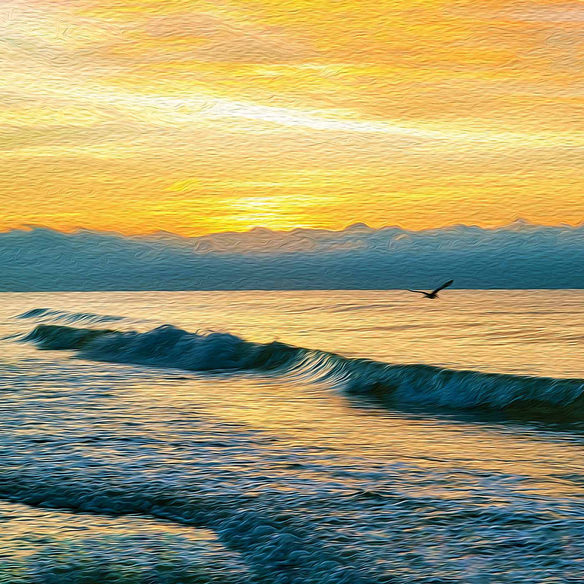 Sky Surfing (Myrtle Beach)