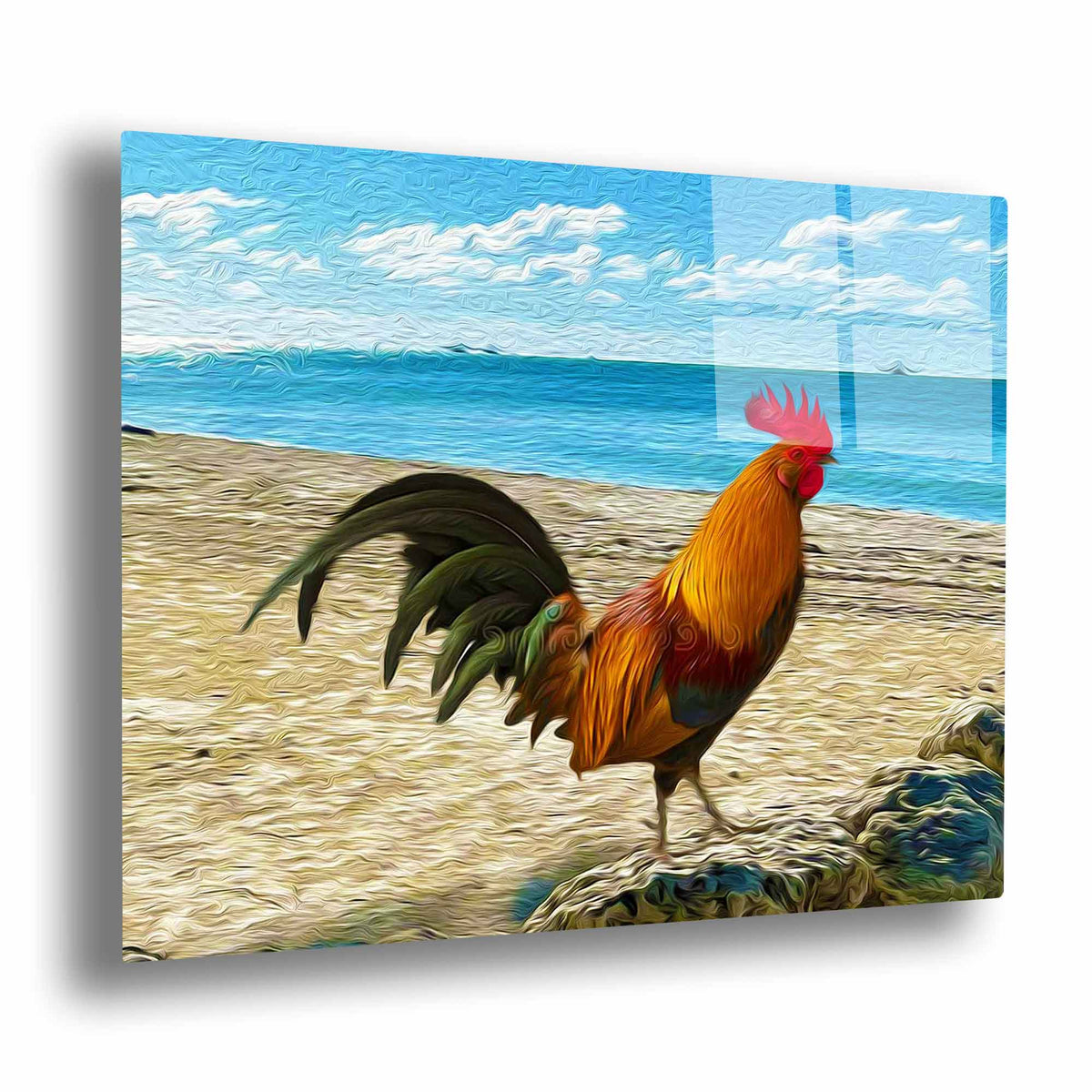 Beach Bird