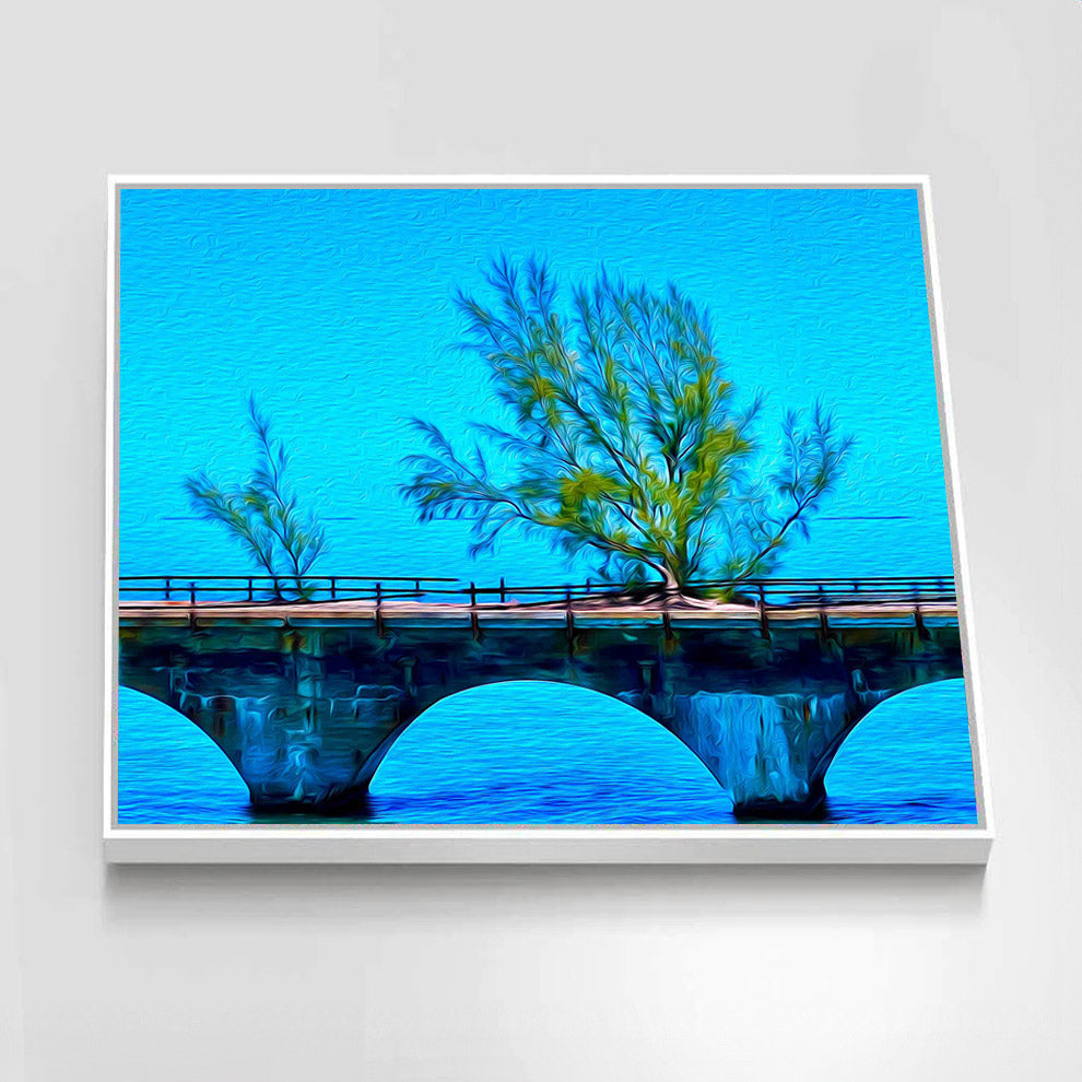 Fred the Tree Florida Keys Canvas Print | Seven Mile Bridge Art ...