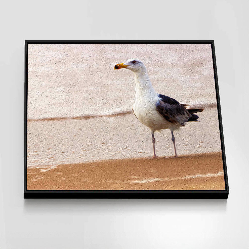 Gull on the Island (Assateague Island)