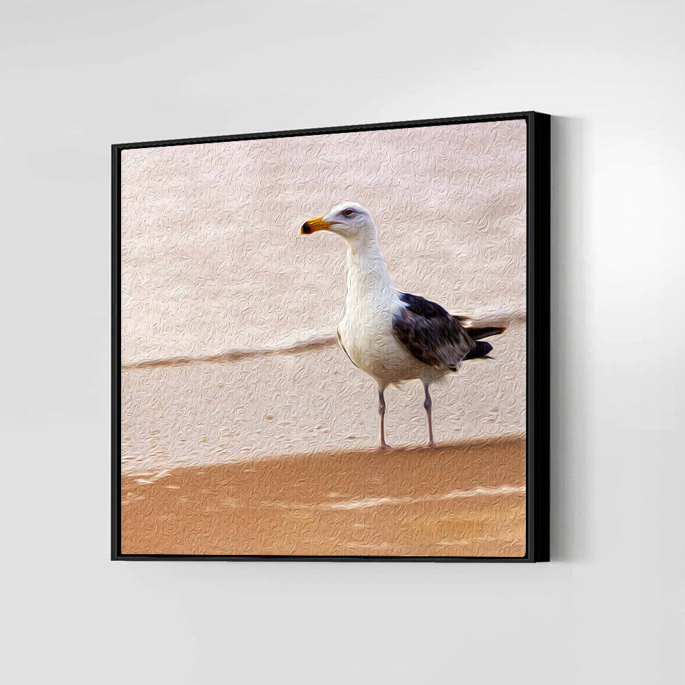 Gull on the Island (Assateague Island)