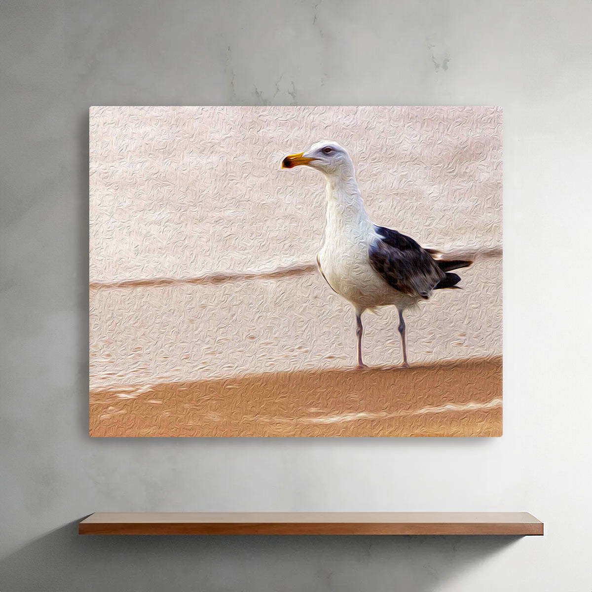 Gull on the Island (Assateague Island)