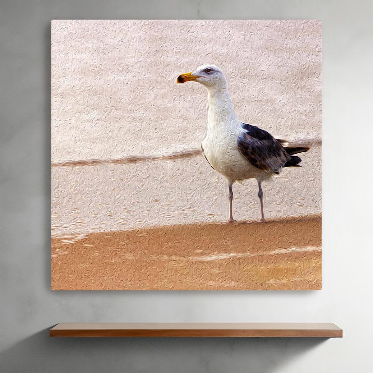 Gull on the Island (Assateague Island)