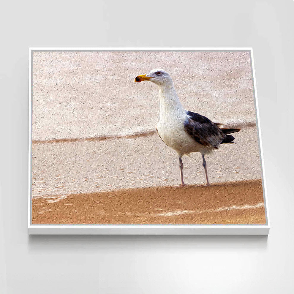 Gull on the Island (Assateague Island)