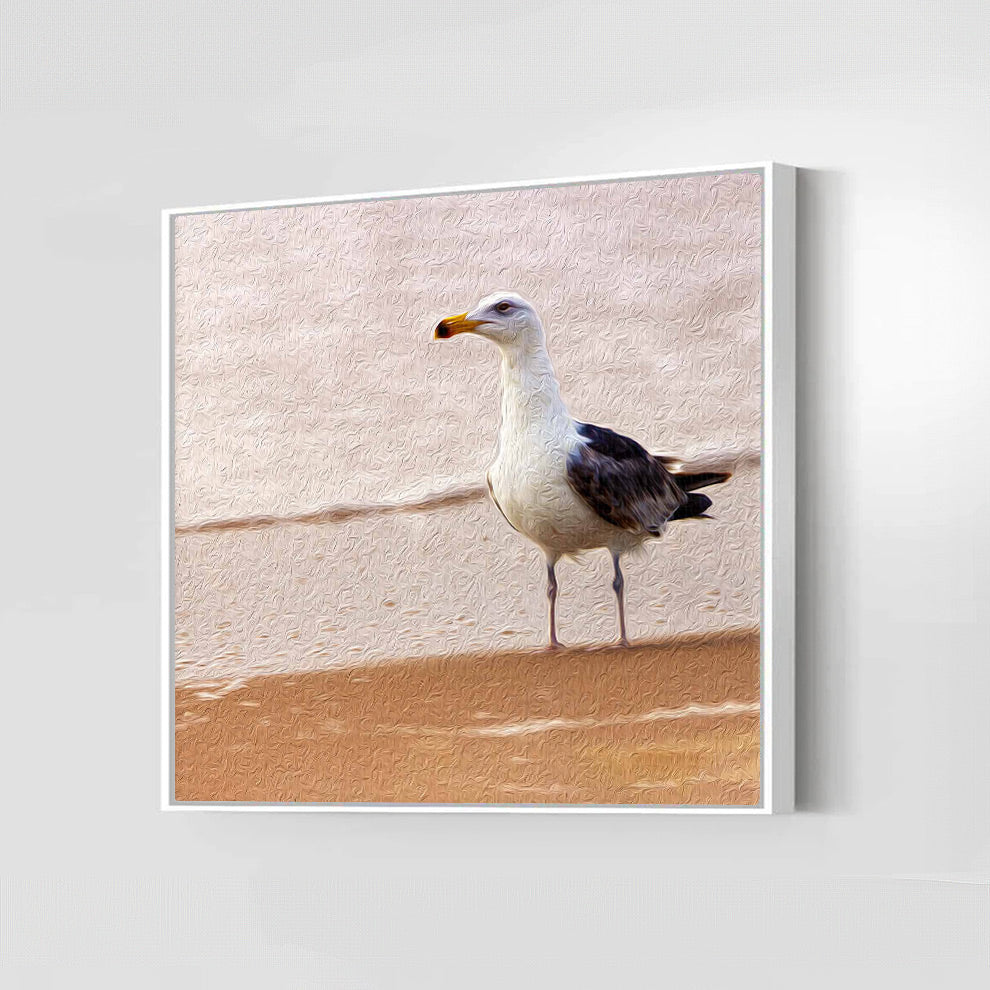 Gull on the Island (Assateague Island)