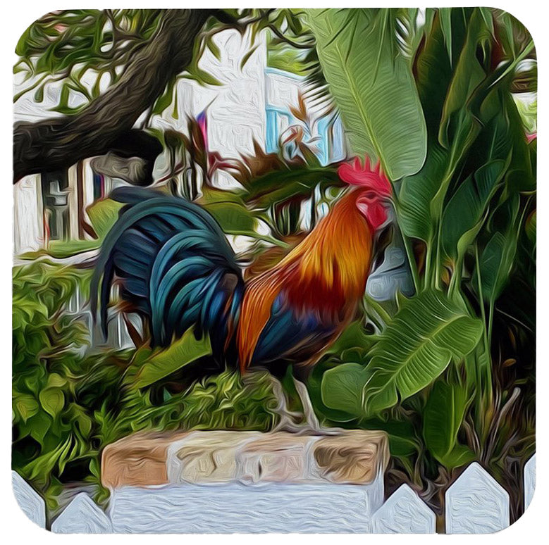 Rooster Coasters (Set of 6)