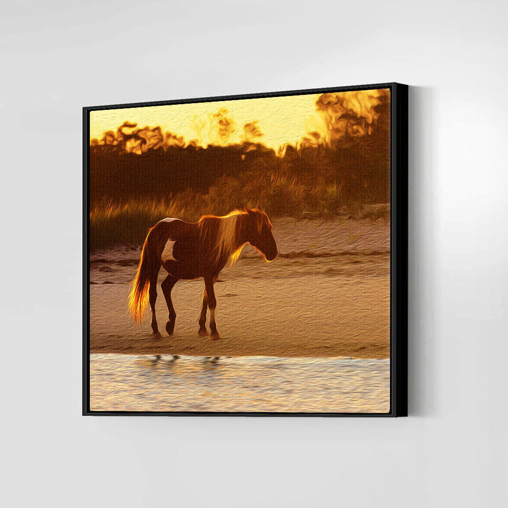 Wild Stallion (Assateague Island)