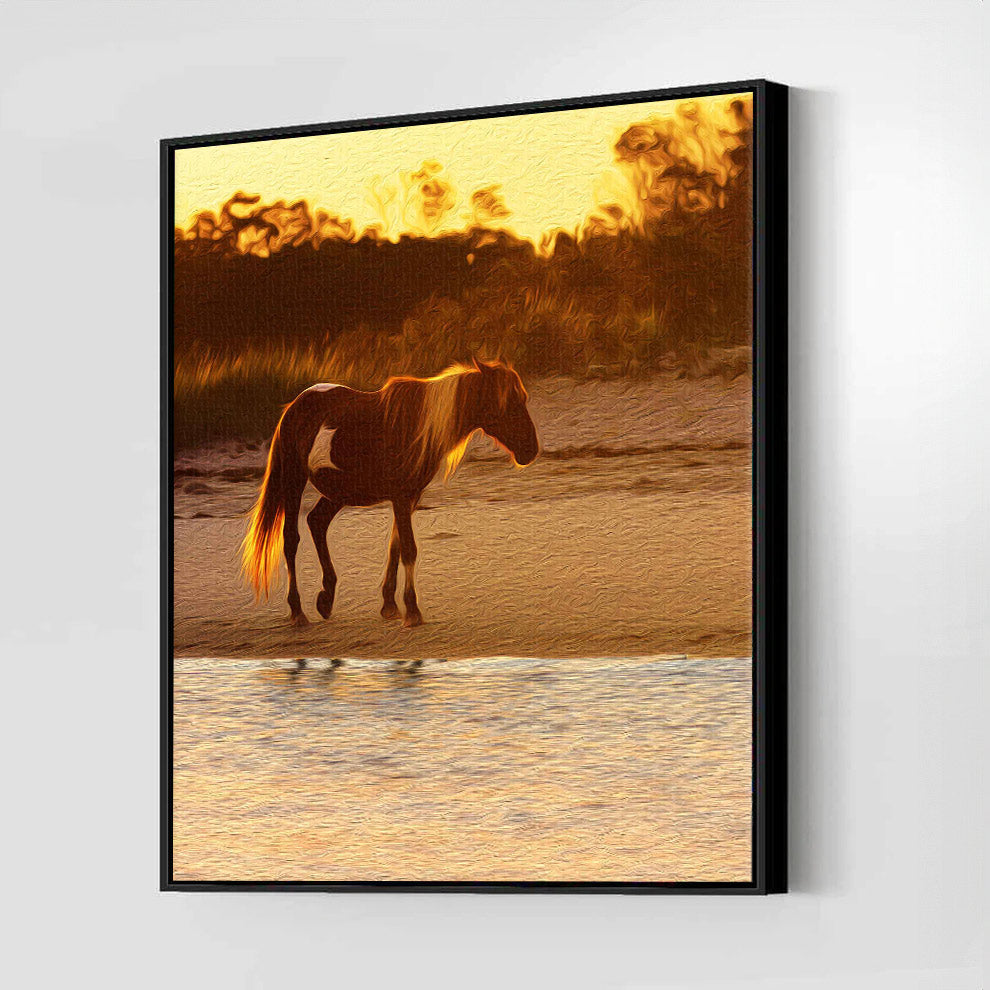 Wild Stallion (Assateague Island)