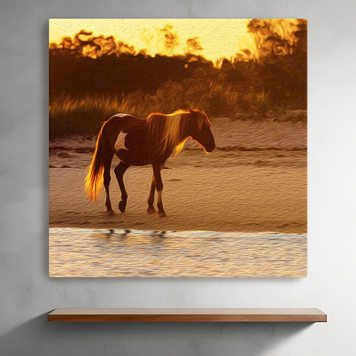 Wild Stallion (Assateague Island)