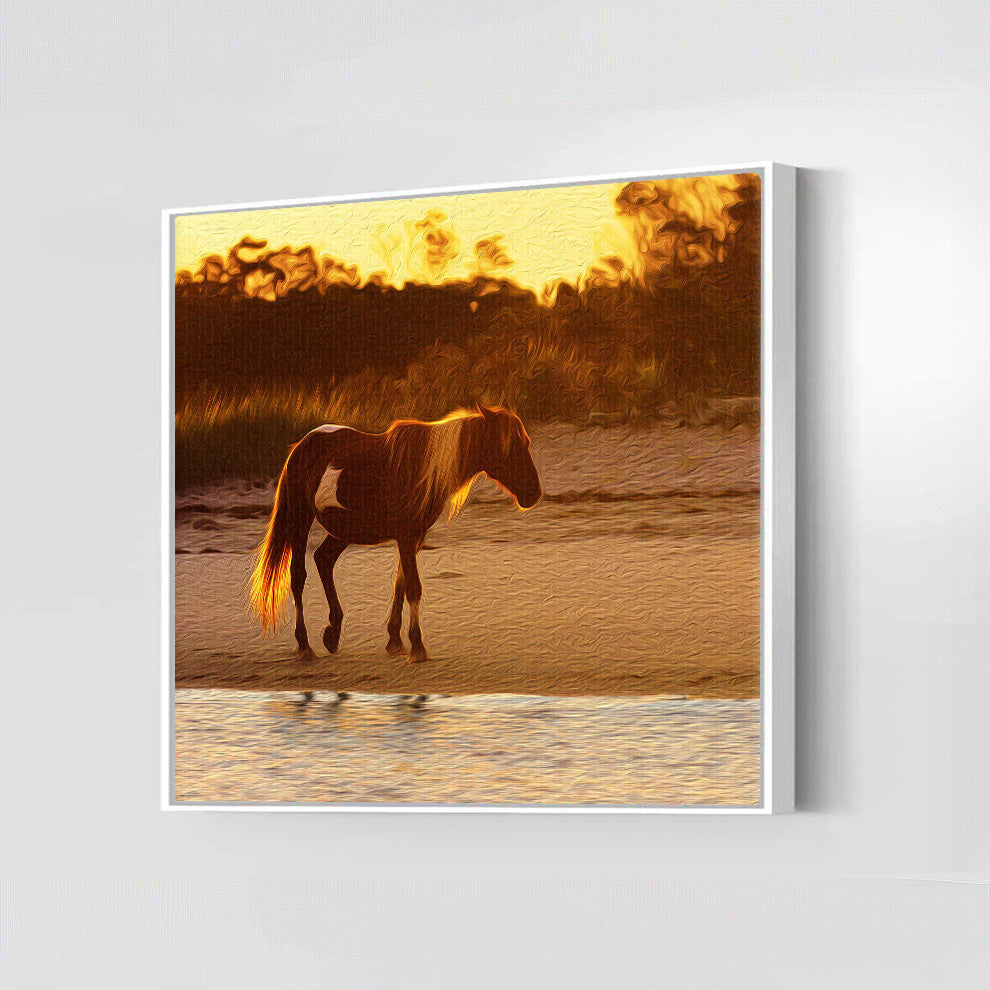 Wild Stallion (Assateague Island)