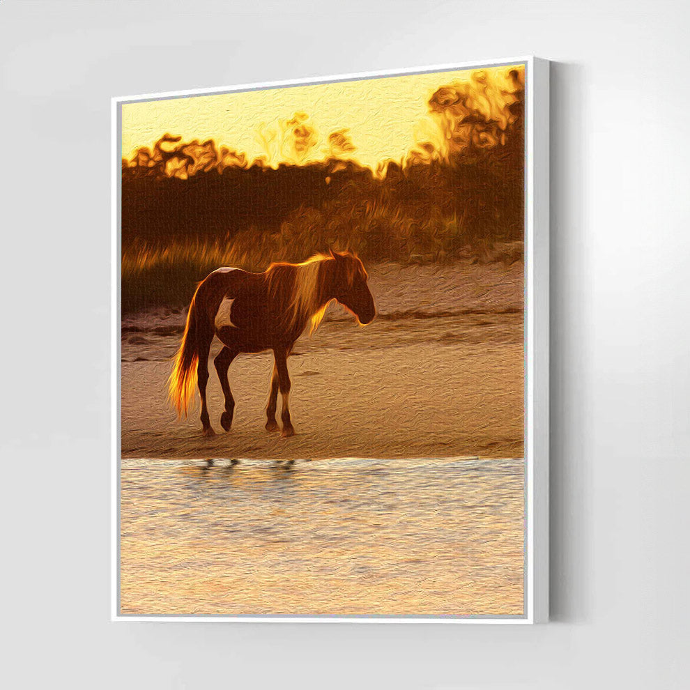 Wild Stallion (Assateague Island)