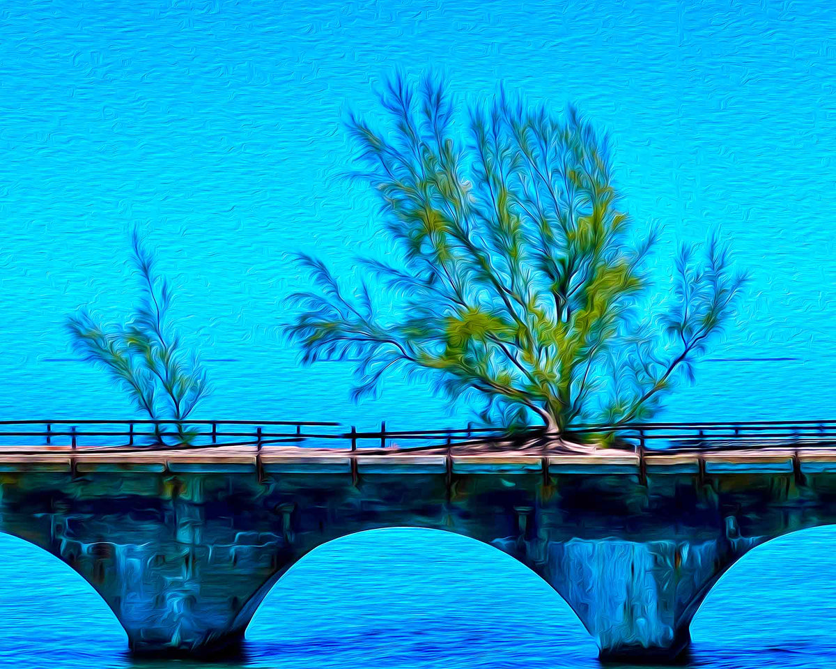 A Key West Art Gallery - Fred the Tree Seven Mile Bridge on Canvas ...